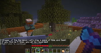 Hide and Seek