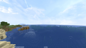Survival Essencials