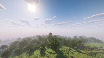 Survival Essencials
