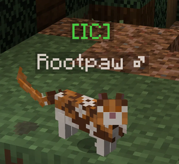 IC