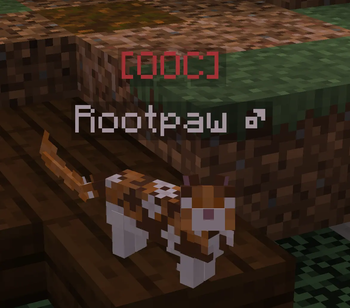 OOC