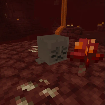 Dried Ghast 