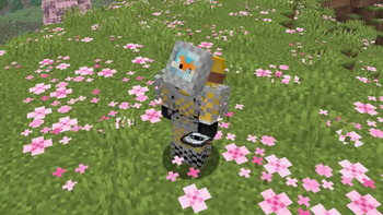 Chain Visor