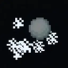 Snow Trail