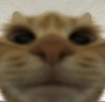 the meowers pak