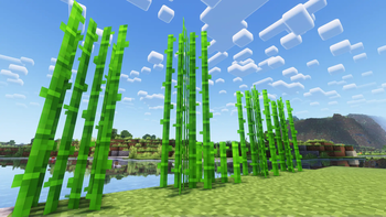 Updated Sugar Cane Texture