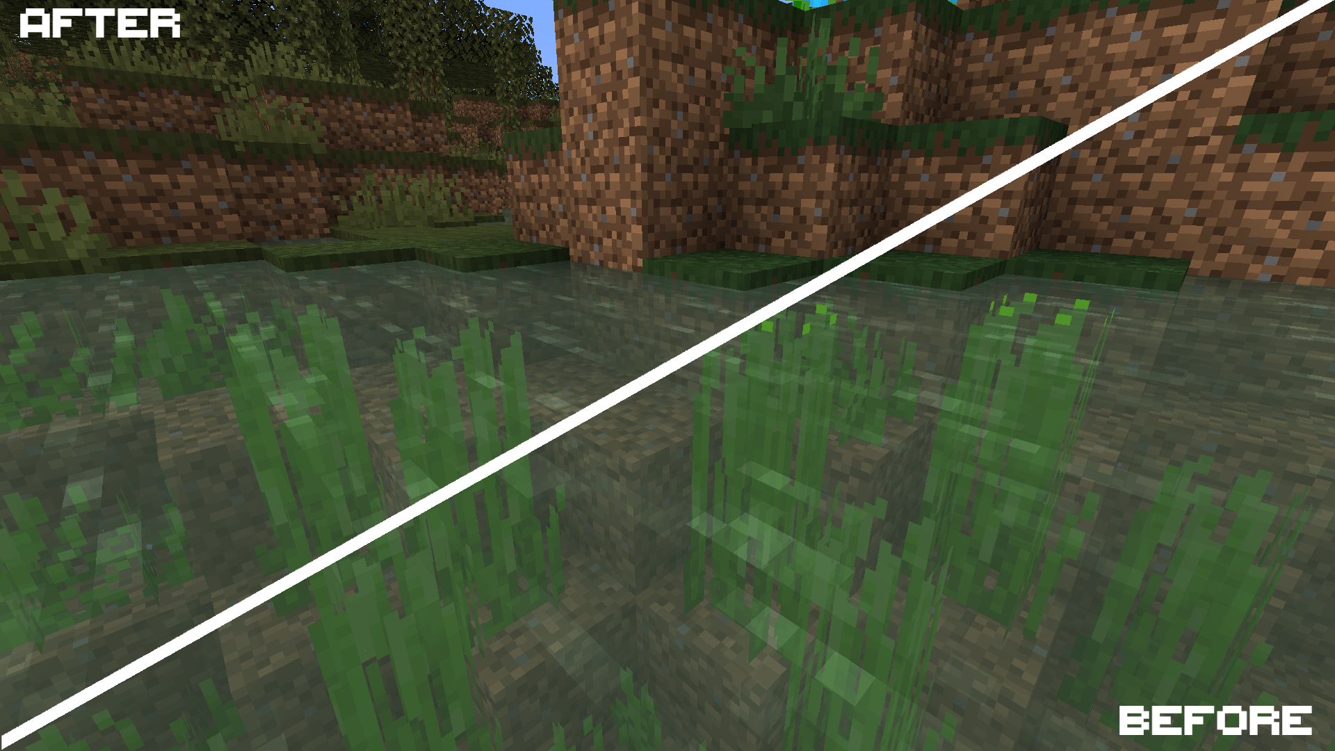 Seagrass Fixed