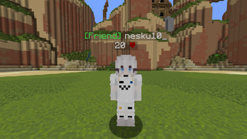 Nametag showcase