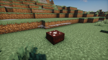 Chocolate cake on the ground