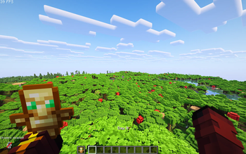 Shader