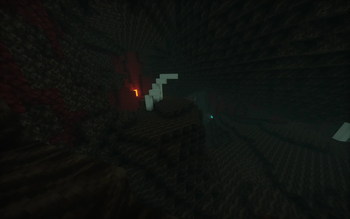 Nether