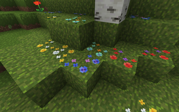 All wildflower variants