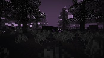 [Re-Visual] Void Tall Lands