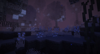 Luminara Springs