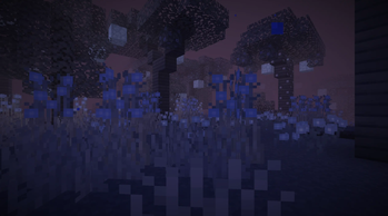 Luminara