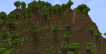 Rain Forest Biome