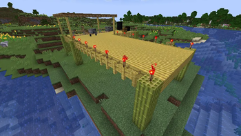 Biplane Airfield