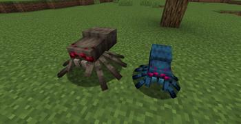 Fresh Spider and Cave Spider