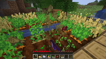 Replant Crops