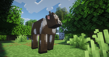 New dynamic models for animals
