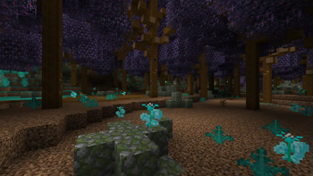 Deep Fairy Forest
