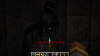 The Maze