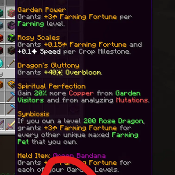 Overflow Pet Levels