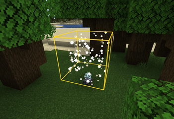 Hitbox
