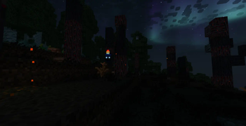 Wisp in Burnt Clearing