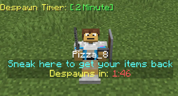 Despawn Timer