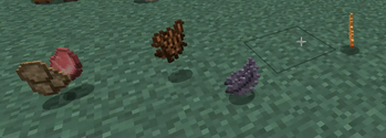 Loot