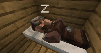 bearded villager sleeping