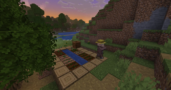 elderly farmer villager