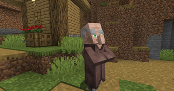 old man villager