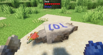 Seal from Spawn