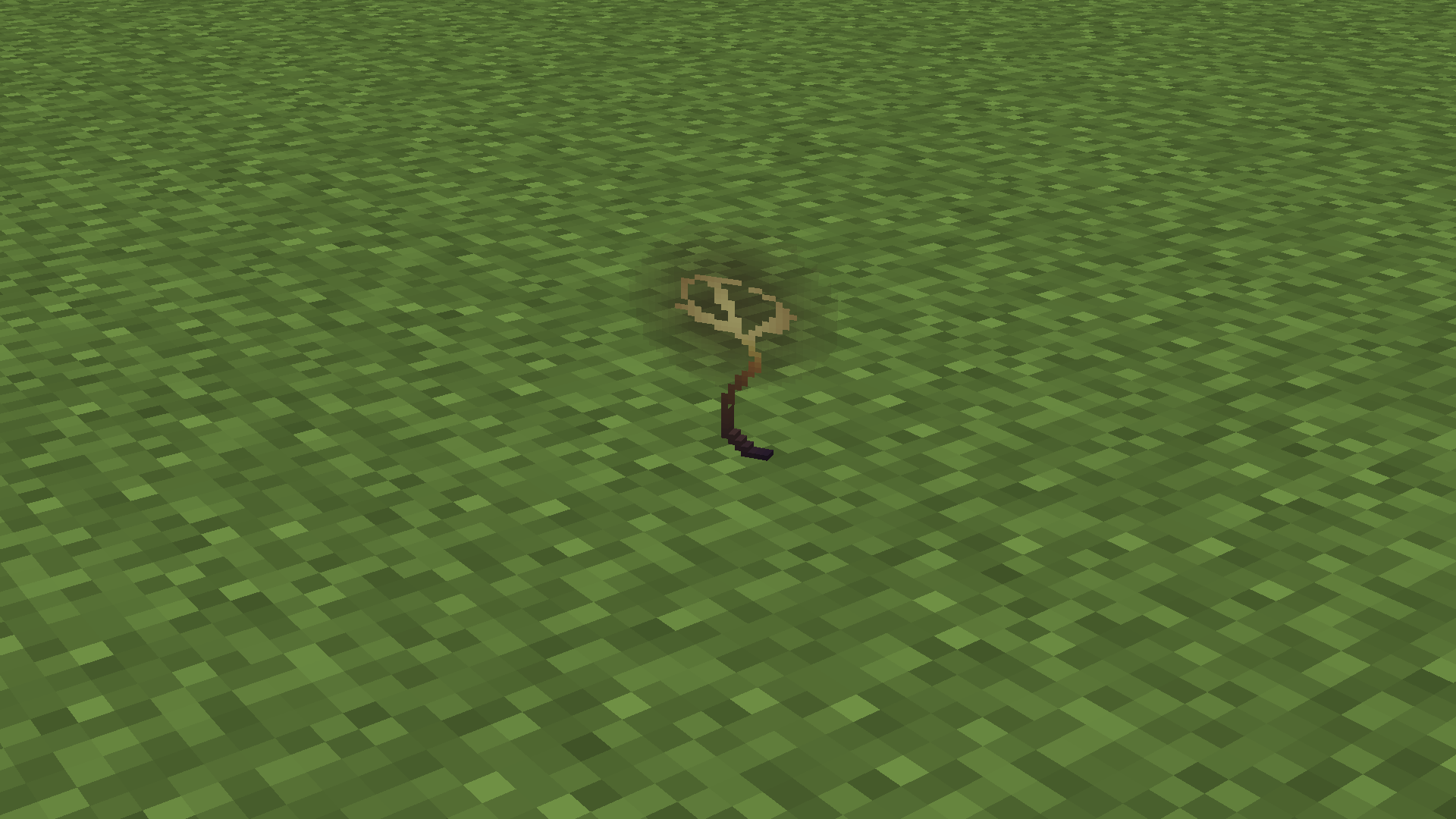 The Karma Flower on the ground
