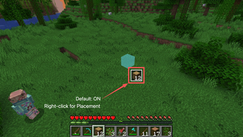 Block Placement