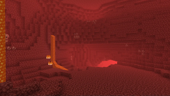 nether