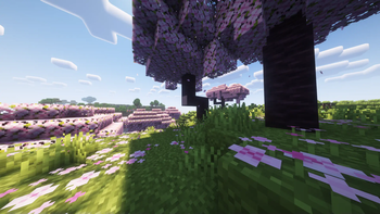 Cherry Grove Biome