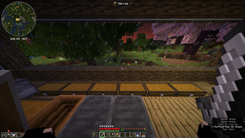Additional Info for Blocks/Entities