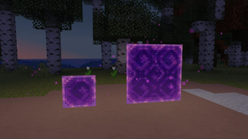 Spawned using command / glitched portals