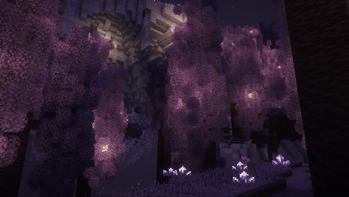 end biome