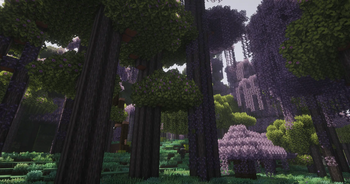 SEED: -4751927971659503514