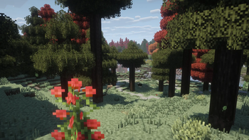 SEED: 8737167528541016765