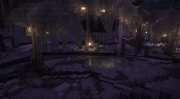 End Biomes