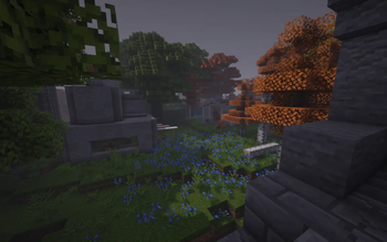 Forest Base