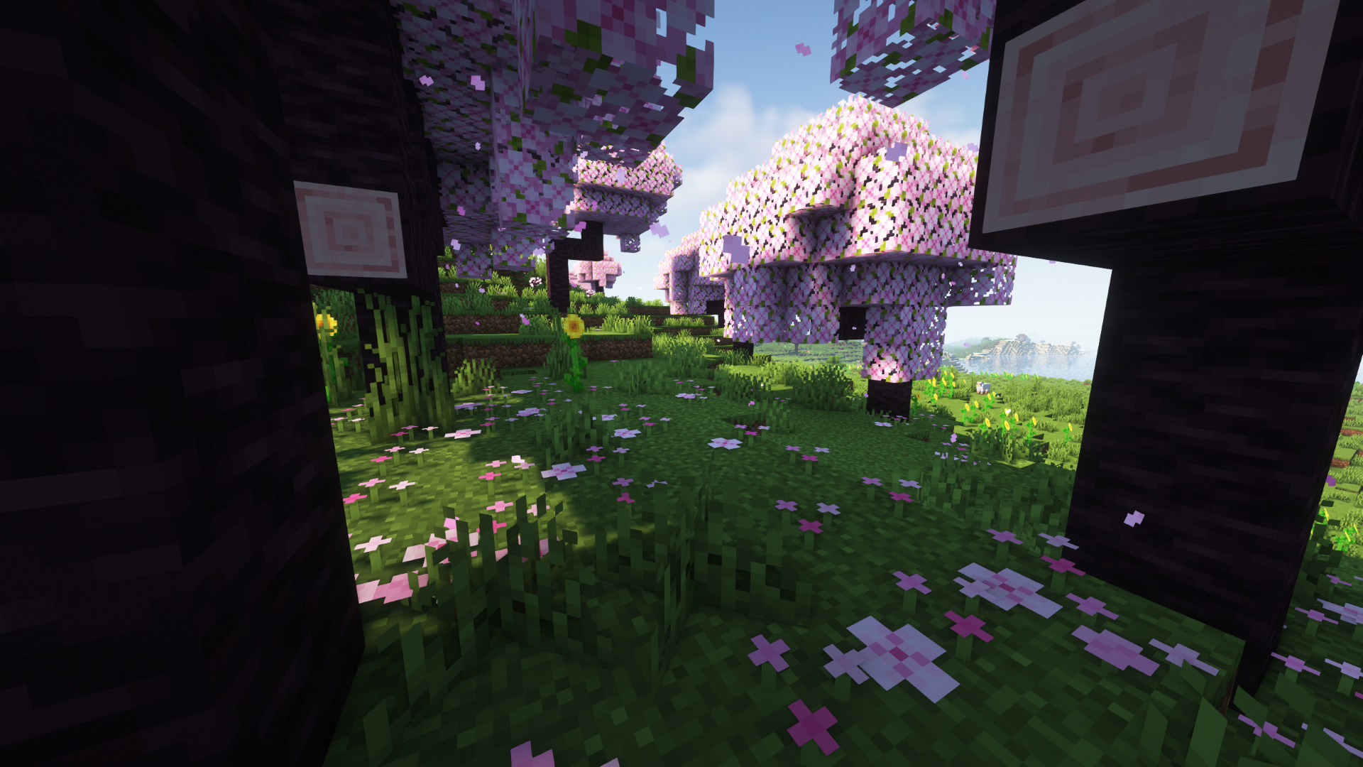 Here you see an artifical cherry blossom biome. The trees are set by me and the flowers generated trough Blooming Blossom