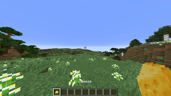 Pasta Delight (A Farmer's Delight Add-on) — screenshot 7