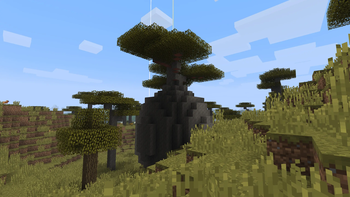 v1.1.0 - Ancient Acacia Tree