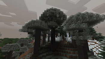 v1.1.0 - Ancient Pale Oak Tree